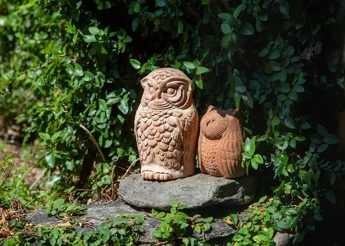 La Loggia Dei Frati Cannero Riviera